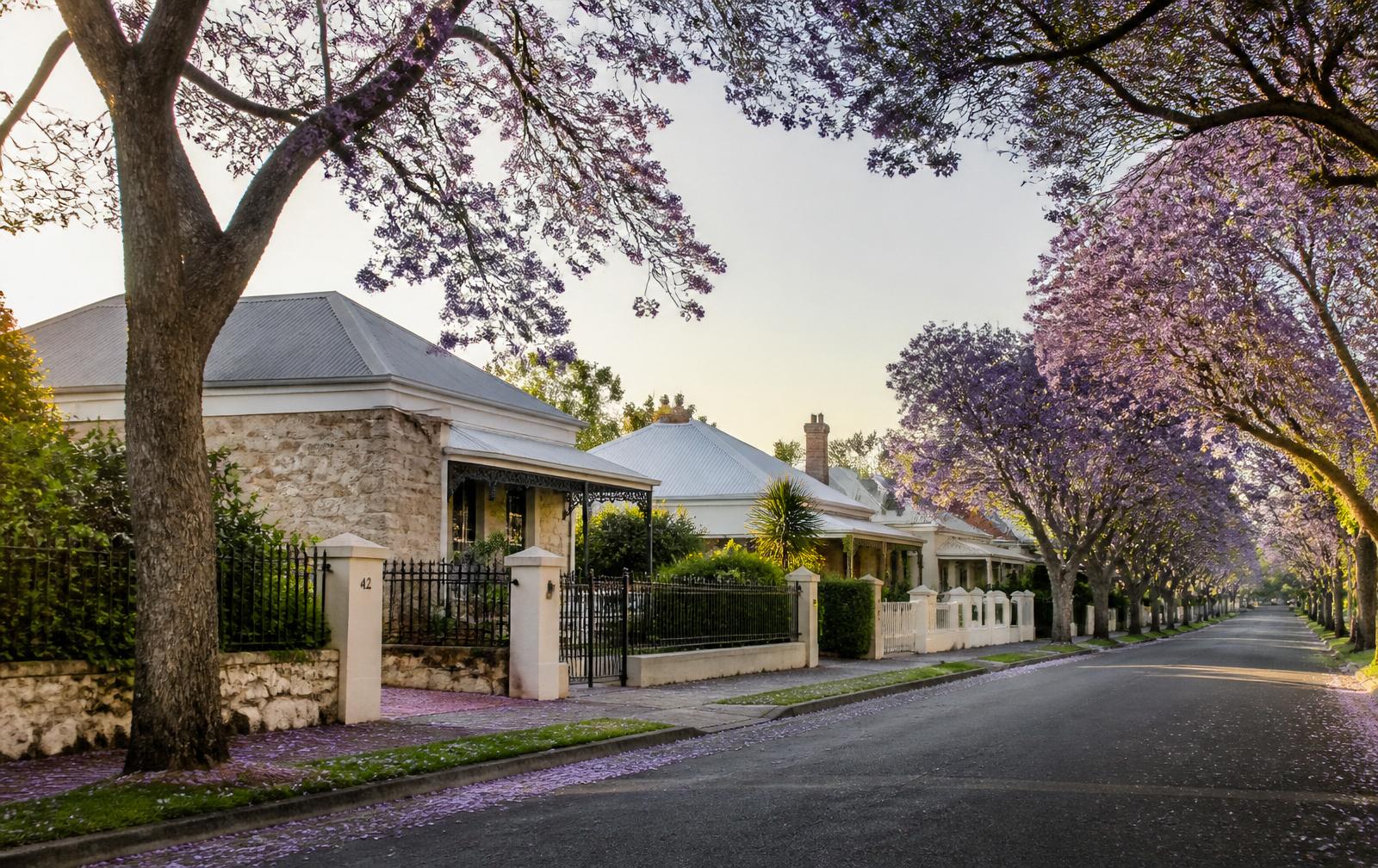 A residential street in Howrah, Hobart.